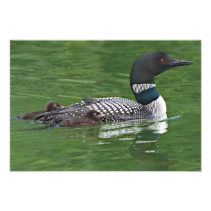 Impression Photo Amérique du Nord, Canada, Colombie-Britannique