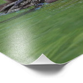 Impression Photo Amérique du Nord, Canada, Colombie-Britannique (Coin)