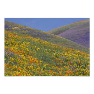 Impression Photo Amérique du Nord, États-Unis, Californie, Los Ange