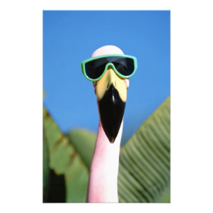 Impression Photo Amérique du Nord, États-Unis, Californie, San Di