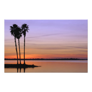 Impression Photo Amérique du Nord, États-Unis, Floride, Mt. Dora, u
