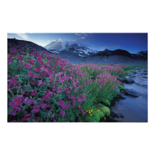 Impression Photo Amérique du Nord, États-Unis, Washington, Mont Rai