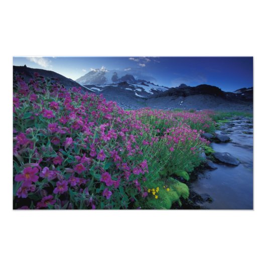 Impression Photo Amérique du Nord, États-Unis, Washington, Mt. Rain (Devant)