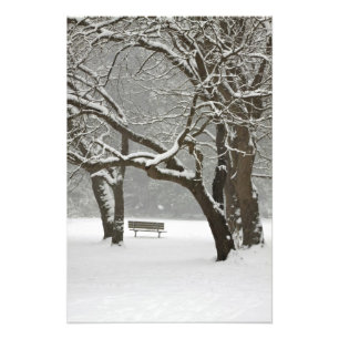 Impression Photo Amérique du Nord, États-Unis, Washington, Seattl