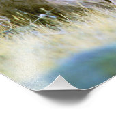 Impression Photo Amérique du Nord, États-Unis, Wyoming, Yellowstone (Coin)