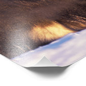 Impression Photo Amérique du Nord, USA, Alaska, Arctic Circle, (Coin)