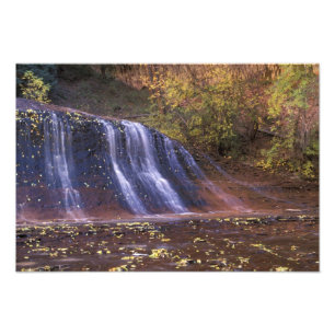 Impression Photo Amérique du Nord, USA, Utah, Zion National Park. 2