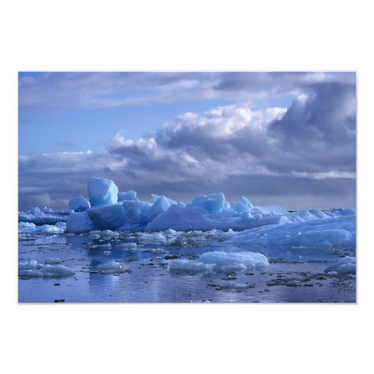 Impression Photo Amérique du Sud, Chili, San Rafael Lagoon NP. (Devant)