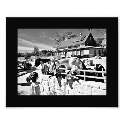 Impression Photo Amis (Devant)