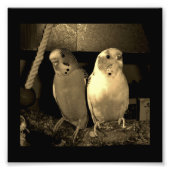 Impression Photo Amis (Devant)