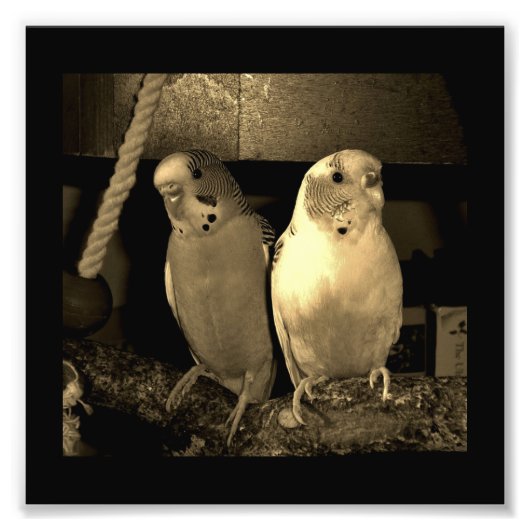 Impression Photo Amis (Devant)