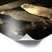 Impression Photo Amis (Coin)