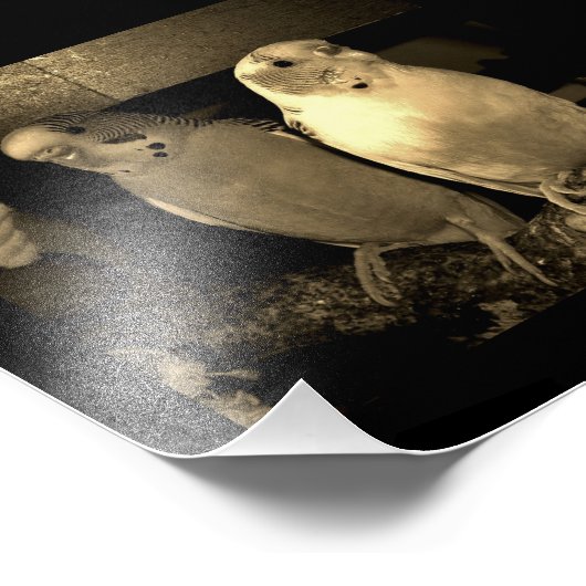 Impression Photo Amis (Coin)