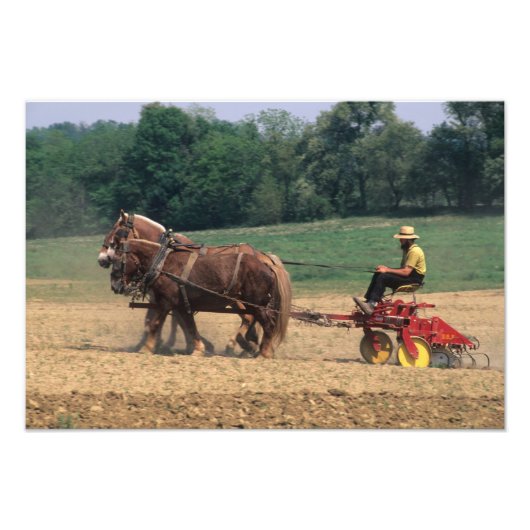 Impression Photo Amish Pays simples gens dans l'agriculture avec (Devant)