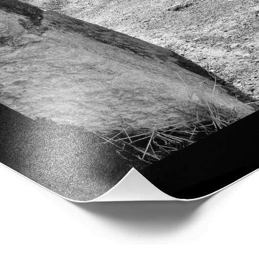 Impression Photo Amman Citadel (Coin)