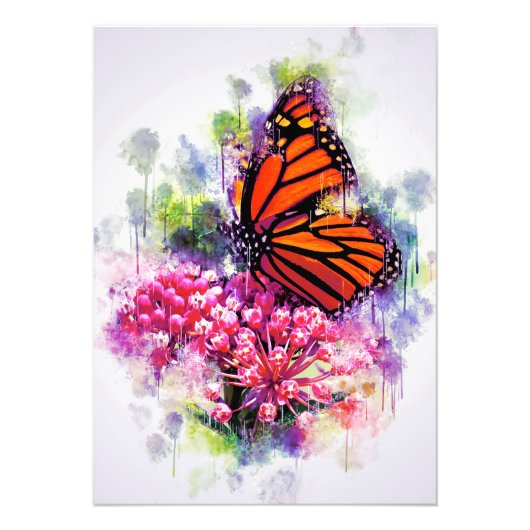 Impression Photo Amoureux Papillon Monarque Papillon (Devant)