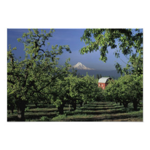 Impression Photo AN, États-Unis, Oregon, près de Hood River Mt. Hoo