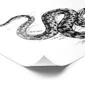 Impression Photo Anaconda (Coin)