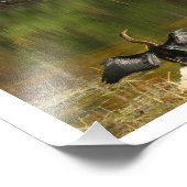 Impression Photo Anahinga pleure ses ailes (Coin)