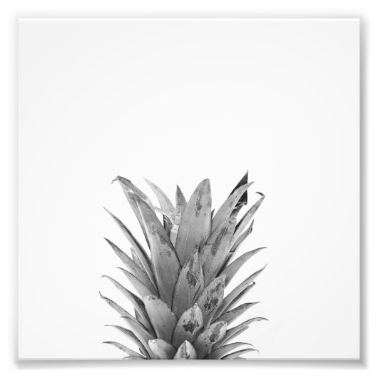 Impression Photo Ananas noir et blanc (Devant)