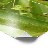 Impression Photo Ananas sauvage Fruit tropical dans la nature (Coin)