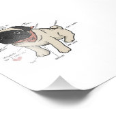 Impression Photo Anatomie Du Chien Carlin Graphique (Coin)