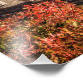 Impression Photo Ancien Delphes, Grèce (Coin)