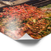 Impression Photo Ancien Delphes, Grèce (Coin)