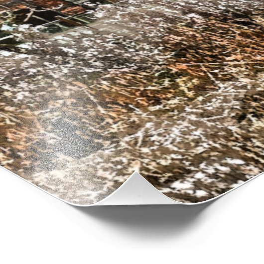 IMPRESSION PHOTO ANCIENNE ANGLETERRE (Coin)