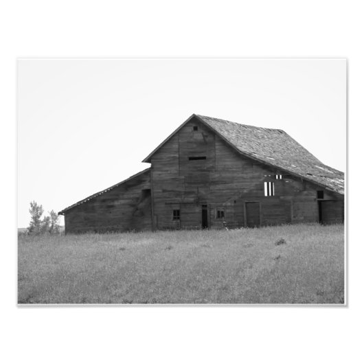IMPRESSION PHOTO ANCIENNE GAILLE (NOIRE ET BLANCHE) (Devant)