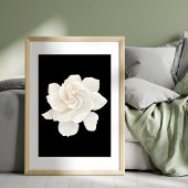 Impression Photo Anémone blanche gracieuse