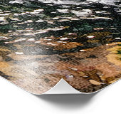 IMPRESSION PHOTO ANGEL (Coin)