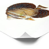 Impression Photo Angel Fish Beach Océan Nautique Salle de bain (Coin)