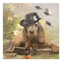 Anglais Cocker Spaniel
