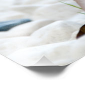 Impression Photo Animal de Cute (Coin)