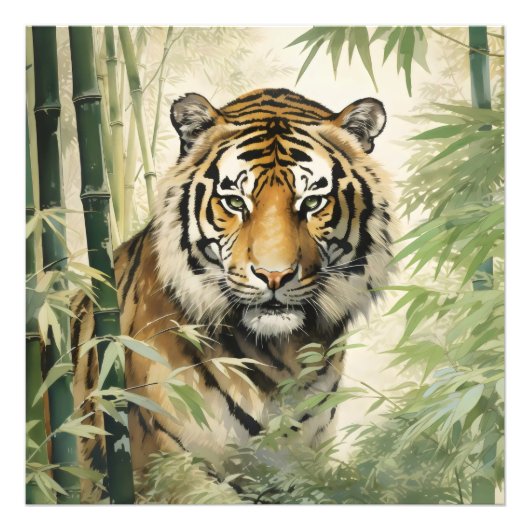 Impression Photo Animal Nature Tiger Bambou (Devant)