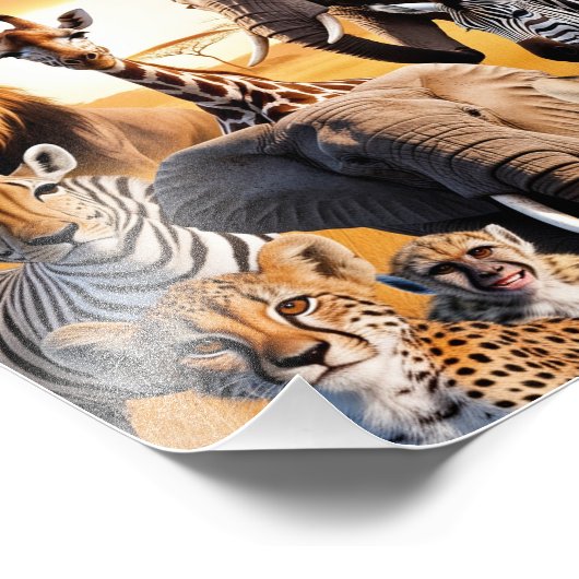 Impression Photo Animaux africains (Coin)