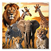 Impression Photo Animaux africains (Devant)