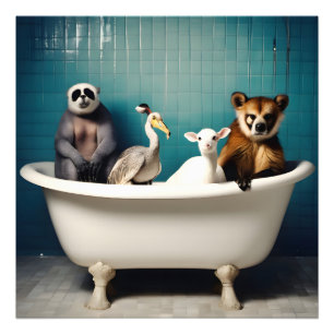 Impression Photo Animaux amusants dans la salle de bain