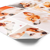 Impression Photo Animaux de compagnie Moderne Simple Personnalisé 9 (Coin)