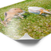 Impression Photo Animaux de ferme de chèvres mignons (Coin)