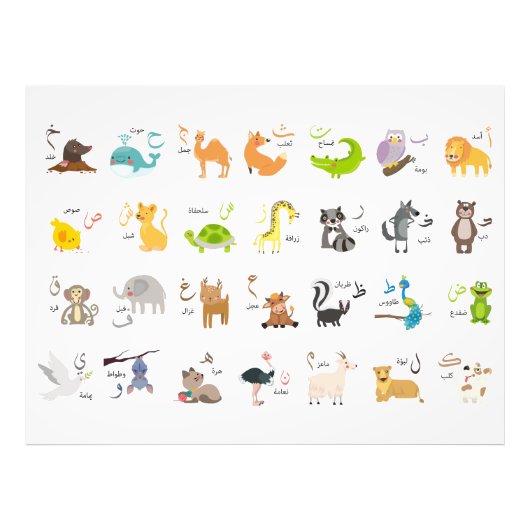 Impression Photo animaux de l'alphabet arabe الحروف العربية (Devant)