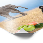 Impression Photo Animaux sauvages (Coin)