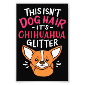 Impression Photo Animaux Toile Mur Art Chihuahua Chig (Devant)