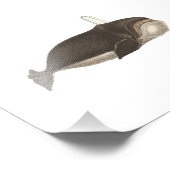 Impression Photo Antique gravure d'une baleine (Coin)
