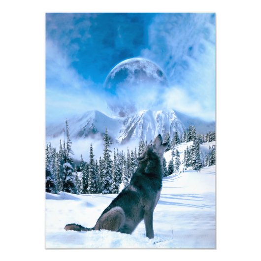 Impression Photo Appel du Loup (Devant)