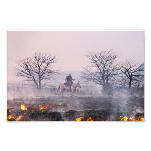 Impression Photo Après le feu des Prairies, Flint Hills, Kansas