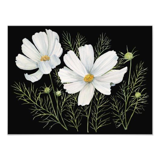 Impression Photo Aquarelle Blanc Cosmos Fleurs Peinture Botanique (Devant)