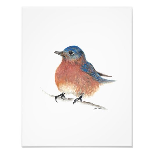 Impression Photo Aquarelle Bluebird Art (Devant)