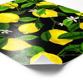 Impression Photo Aquarelle Citron 2 (Coin)